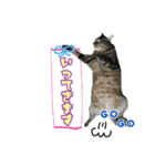 我が家のまいりー3（個別スタンプ：12）