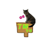 我が家のまいりー3（個別スタンプ：16）
