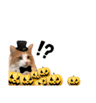 HELLOWEENにゃの⁉︎（個別スタンプ：3）