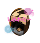 まるこ14（個別スタンプ：1）