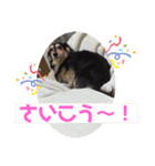 まるこ14（個別スタンプ：5）