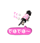まるこ14（個別スタンプ：10）