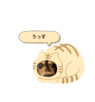 まるこ14（個別スタンプ：17）