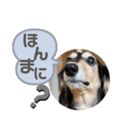 まるこ14（個別スタンプ：18）