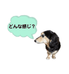 まるこ14（個別スタンプ：21）