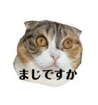 むぎさん2（個別スタンプ：8）