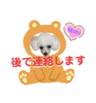 Poodle Mimi（個別スタンプ：27）