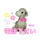 Poodle Mimi（個別スタンプ：29）