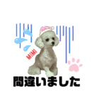 Poodle Mimi（個別スタンプ：30）