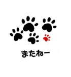 カラフル♪肉球の日常会話スタンプ（個別スタンプ：10）