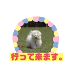 クッキーの一言・2（個別スタンプ：2）