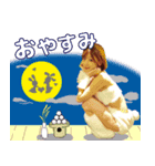 瀬里奈ゆうこスタンプ（個別スタンプ：8）