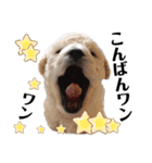 ライアン王国だ～ No2（個別スタンプ：8）