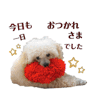 ライアン王国だ～ No2（個別スタンプ：10）
