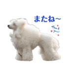 ライアン王国だ～ No2（個別スタンプ：18）
