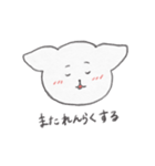 ふわふわいぬ / あいさつ（個別スタンプ：12）