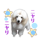 ひまはてわたおにの大冒険  第1弾（個別スタンプ：18）