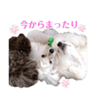 ひまはてわたおにの大冒険  第1弾（個別スタンプ：29）