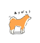 シンプルな柴犬たち（赤柴）（個別スタンプ：6）