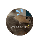もちゃ丸familyの日常（個別スタンプ：2）