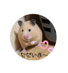 もちゃ丸familyの日常（個別スタンプ：3）