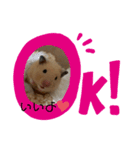 もちゃ丸familyの日常（個別スタンプ：4）