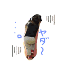 ルア✖️ハル（個別スタンプ：9）