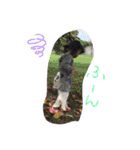 ルア✖️ハル（個別スタンプ：13）