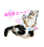 トラチワちゃん♪♪♪♪（個別スタンプ：3）