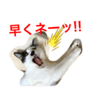 トラチワちゃん♪♪♪♪（個別スタンプ：5）
