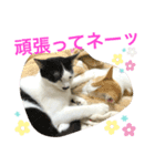 トラチワちゃん♪♪♪♪（個別スタンプ：7）