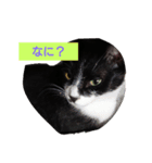 ニケ＆ハロ（個別スタンプ：1）