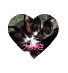 ニケ＆ハロ（個別スタンプ：2）
