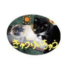 ニケ＆ハロ（個別スタンプ：8）