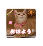 meiちゃんスタンプ【1】（個別スタンプ：2）