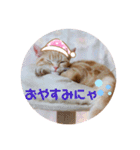 meiちゃんスタンプ【1】（個別スタンプ：6）
