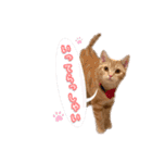 meiちゃんスタンプ【1】（個別スタンプ：8）