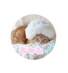 meiちゃんスタンプ【1】（個別スタンプ：9）
