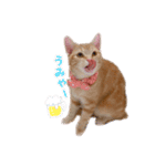 meiちゃんスタンプ【1】（個別スタンプ：10）