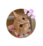 meiちゃんスタンプ【1】（個別スタンプ：11）