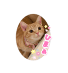 meiちゃんスタンプ【1】（個別スタンプ：12）