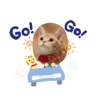 meiちゃんスタンプ【1】（個別スタンプ：14）