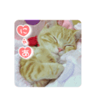meiちゃんスタンプ【1】（個別スタンプ：16）