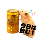 くまごろうスタンプ2（個別スタンプ：2）