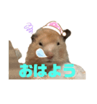 くまごろうスタンプ2（個別スタンプ：5）