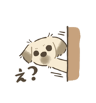 中川家 あずきのスタンプ（個別スタンプ：3）