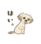 中川家 あずきのスタンプ（個別スタンプ：14）