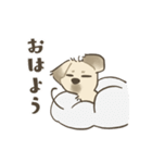 中川家 あずきのスタンプ（個別スタンプ：15）