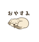 中川家 あずきのスタンプ（個別スタンプ：16）