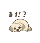 中川家 あずきのスタンプ（個別スタンプ：30）